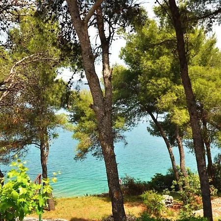 Apartment Tojcic, 1 Min Walk To The Slatine